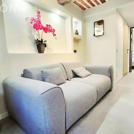 La Fourmi Azureenne - Dans Le Vieil Apartament Antibes